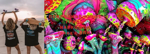 прущая мука Алзамай