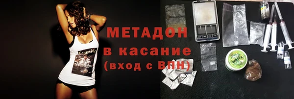 индика Алексин
