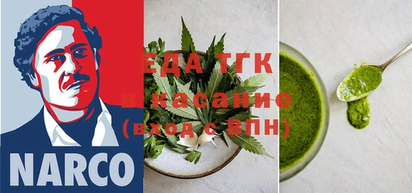 индика Алексин